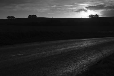 4/25: Beech Tree Clumps, Hackpen Hill, Wiltshire.