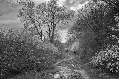 18/25: Dismantled Railway, Chinnor, Oxfordshire.