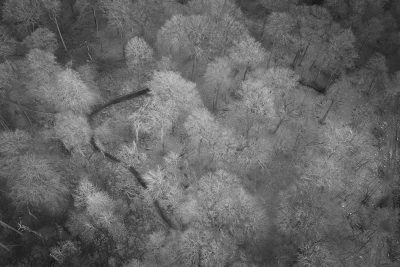 21/25: Pulpit Hill, Princes Risborough, Buckinghamshire.