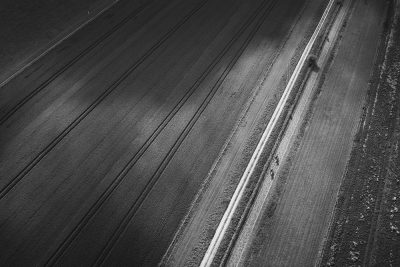 Horse Racing Gallops, Hughie Morrison Racing, East Ilsley, Berkshire.